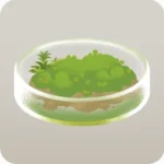 苔むしたシャーレ
