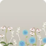 植物保護研究所の希少な草花