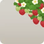 垂れ下がるイチゴの茂み