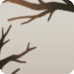 庭に広がる枝