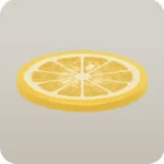 新鮮な輪切りの柚子