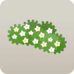 花の群生