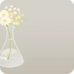 フラスコ型フラワーベース・白花