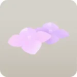 紫陽花の小花