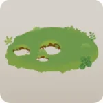 どんぐりの森の地面