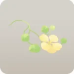 後ろから伸びている植物