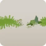 小さな多肉植物