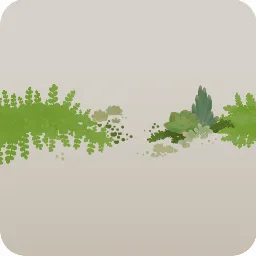 小さな多肉植物