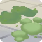 春のサンルームの床