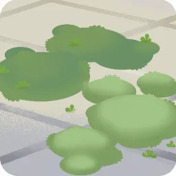 春のサンルームの床