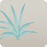 細長い葉の温室の植物・緑