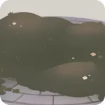 草が生い茂った石畳