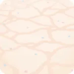 床に描かれた海の底の模様
