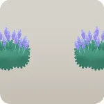 ラベンダーの茂み