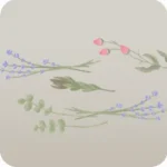 剪定されたドライフラワー