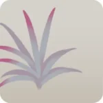 細長い葉の温室の植物・赤