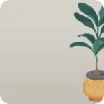 グローカルの鉢植え