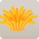 黄色のイソギンチャク