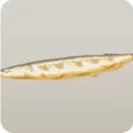 焼きサンマ