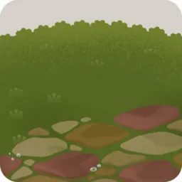 水を撒いた芝