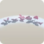 温室の水辺・赤
