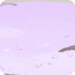 藤の花びらが積もった床