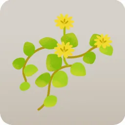 ミニ雑草・ジシバリ