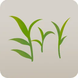 ミニ雑草・ハマスゲ