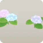 後方に咲く紫陽花