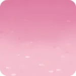 桜の花びらが降り積もった地面