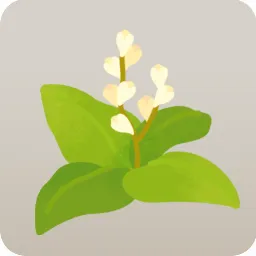 ミニ雑草・イタドリ