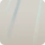 微眠む森の木漏れ日