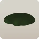 苔岩