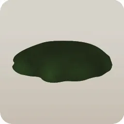 苔岩