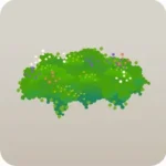 知恵の草花の地面
