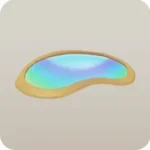 虹の映る大きな水たまり