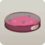 ピンクの草が生えた丘とシャーレ