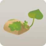 苔むしたコルク