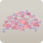 星薔薇の群生