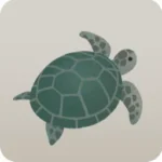 迷い込んだ小さなウミガメ