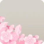 満開の枝垂桜の枝