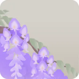 近くに咲く藤の枝