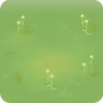 空き地まわりの雑草の背景