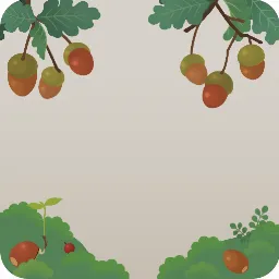 どんぐりの茂み