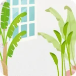 真夏の部屋