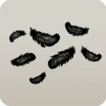 ふわふわの黒い羽根