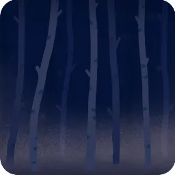 冬夜の白樺の森の背景