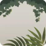 店内の観葉植物