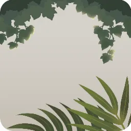 店内の観葉植物