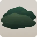手付かずの山
